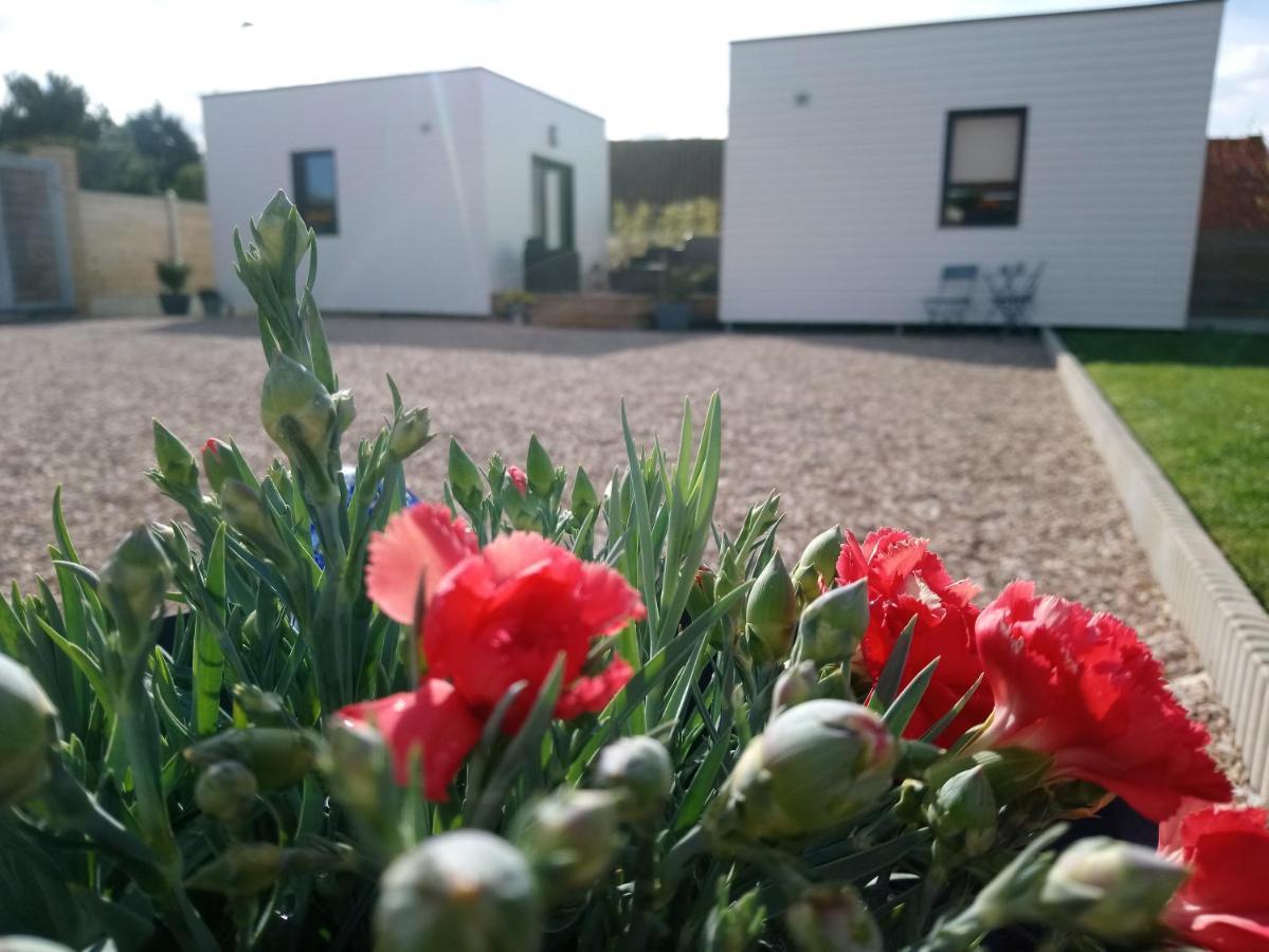 Bed and Breakfast Au Cap Norwoe Saint-Quentin-en-Tourmont Exterior foto